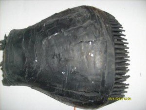 литники